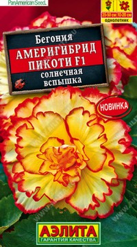 Бегония Америгибрид Пикоти F1 Солнечная Вспышка