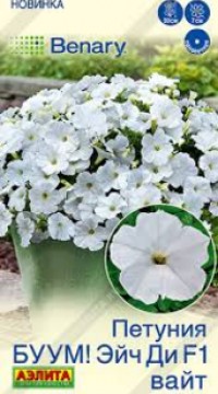 Петуния БУУМ! Эйч Ди  F1  Вайт