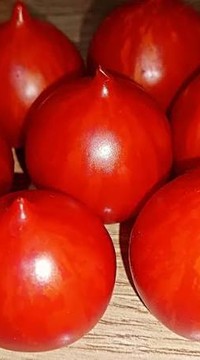 Томат Полосатая пипочка