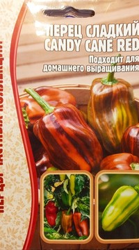 Перец Перец Candy Cane Red