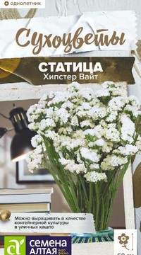 Статица белая