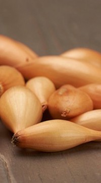 Лук Бирнформиге (Нидерланды)