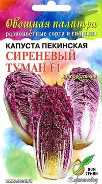 Капуста пекинская Сиреневый туман