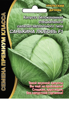 kapusta-belokochannaya-specialnogo-salatno-zasolochnogo-tipa-sankina-lyubov-f1 kapusta-belokochannaya-specialnogo-salatno-zasolochnogo-tipa-sankina-lyubov-f1