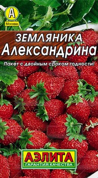 Земляника Александрина