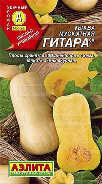 Тыква мускатная Гитара