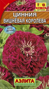 Цинния Вишневая королева