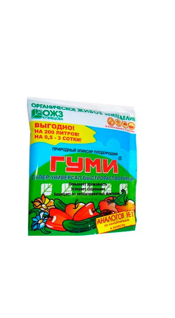 gumi(pasta) gumi(pasta)
