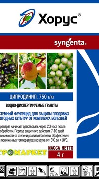 Хорус 4 гр.