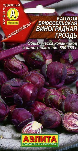 full_img3513 full_img3513