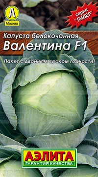 Капуста б/к Валентина F1