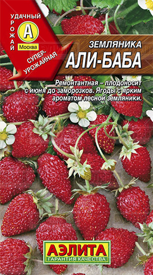 504da8d164ab62cee8788e2d33763908 504da8d164ab62cee8788e2d33763908