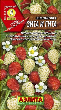 Земляника Зита и Гита