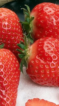 Земляника (крупноплодная) Альба